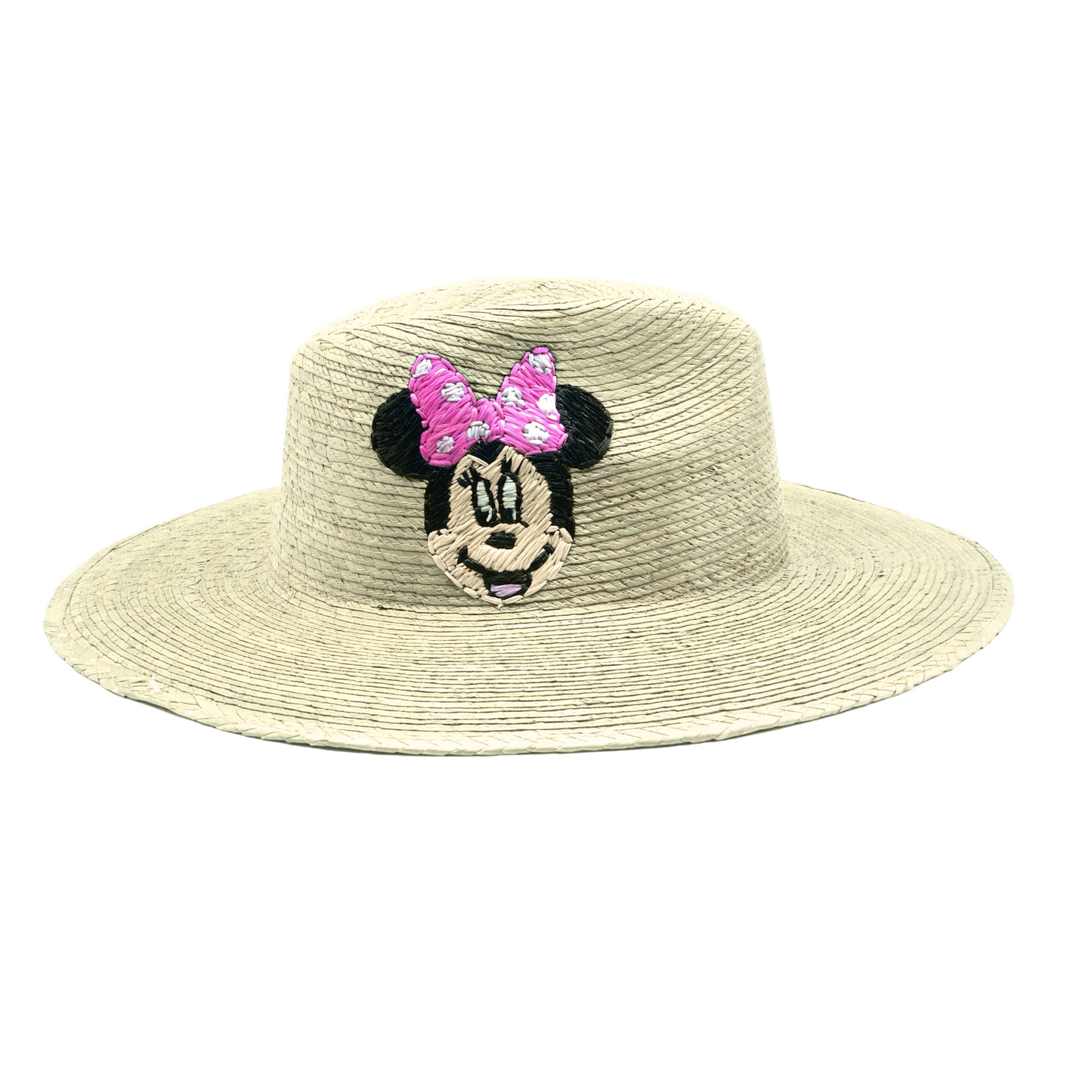 Disney hat