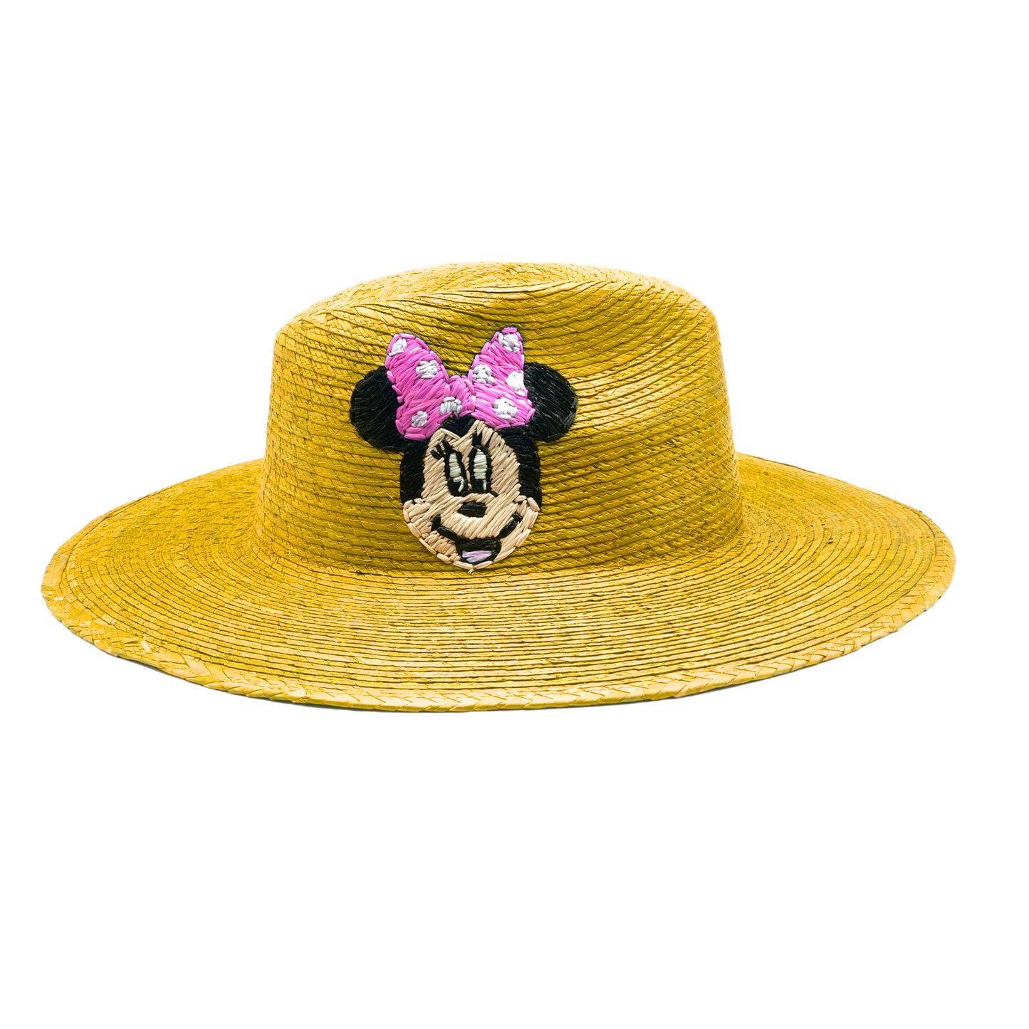 Disney hat