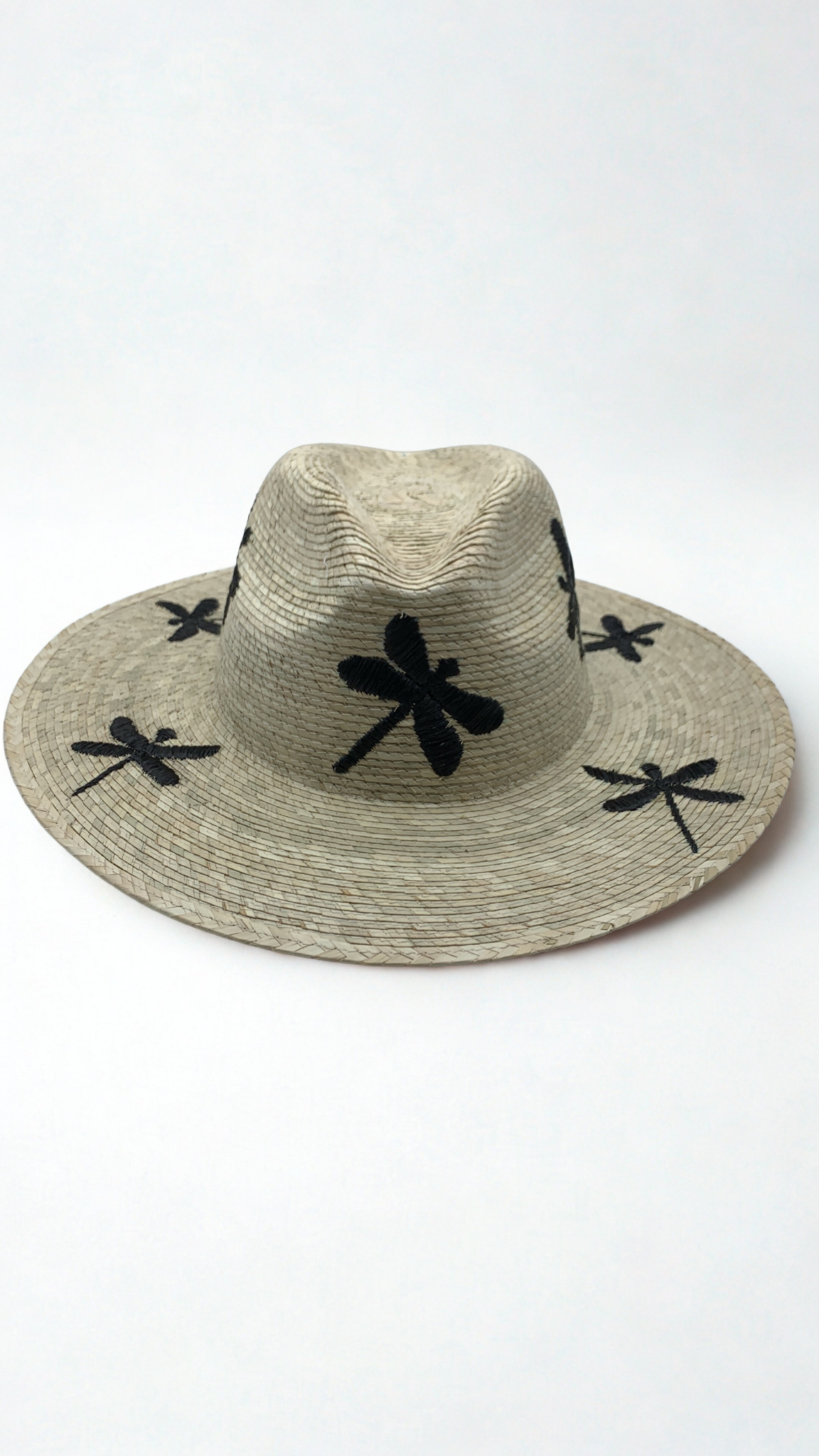 Dragonfly hat
