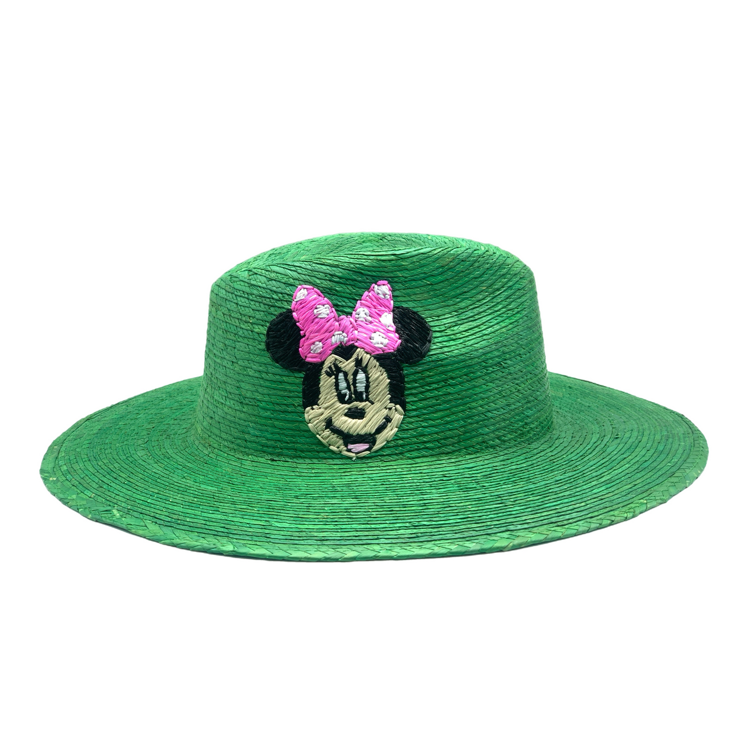 Disney hat