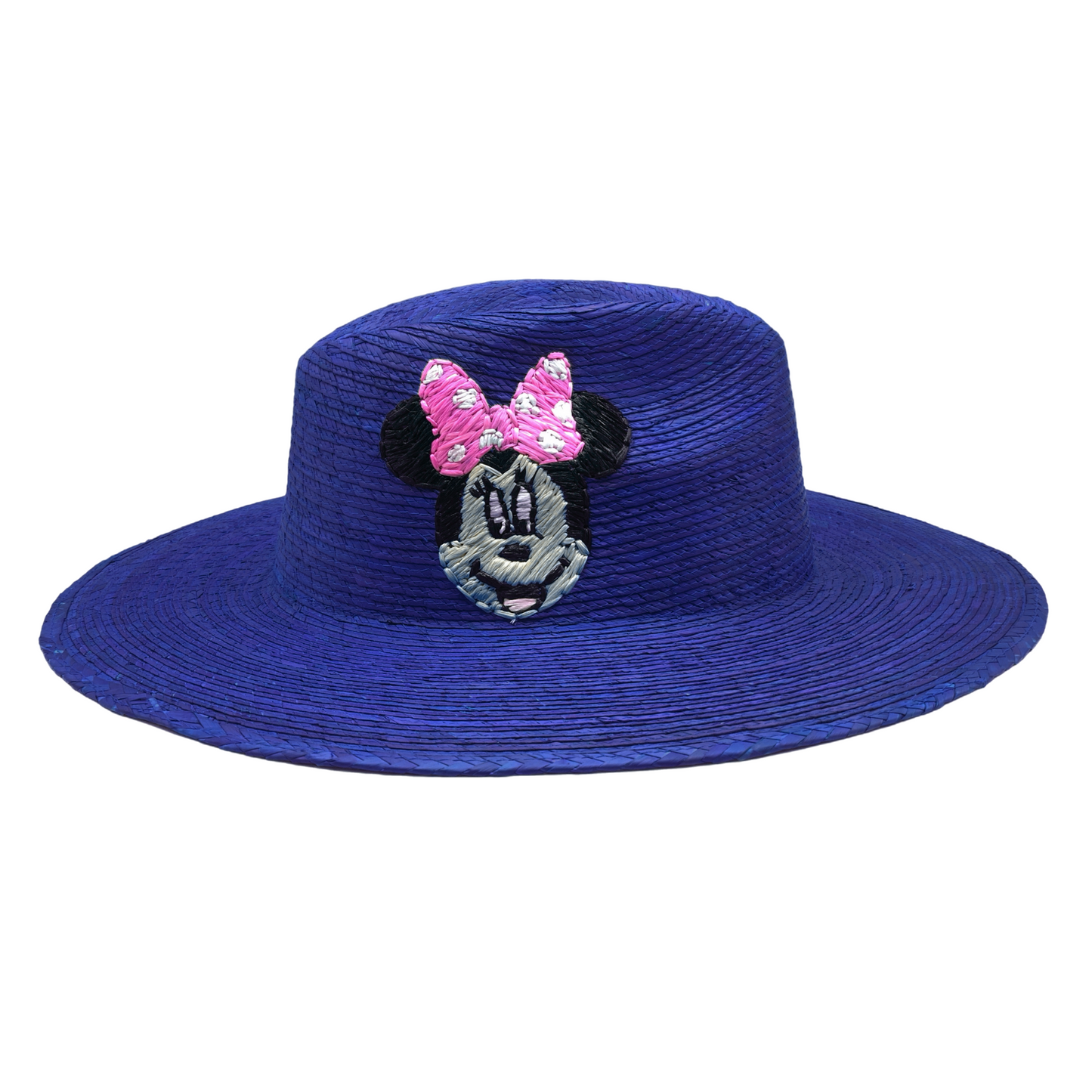 Disney hat