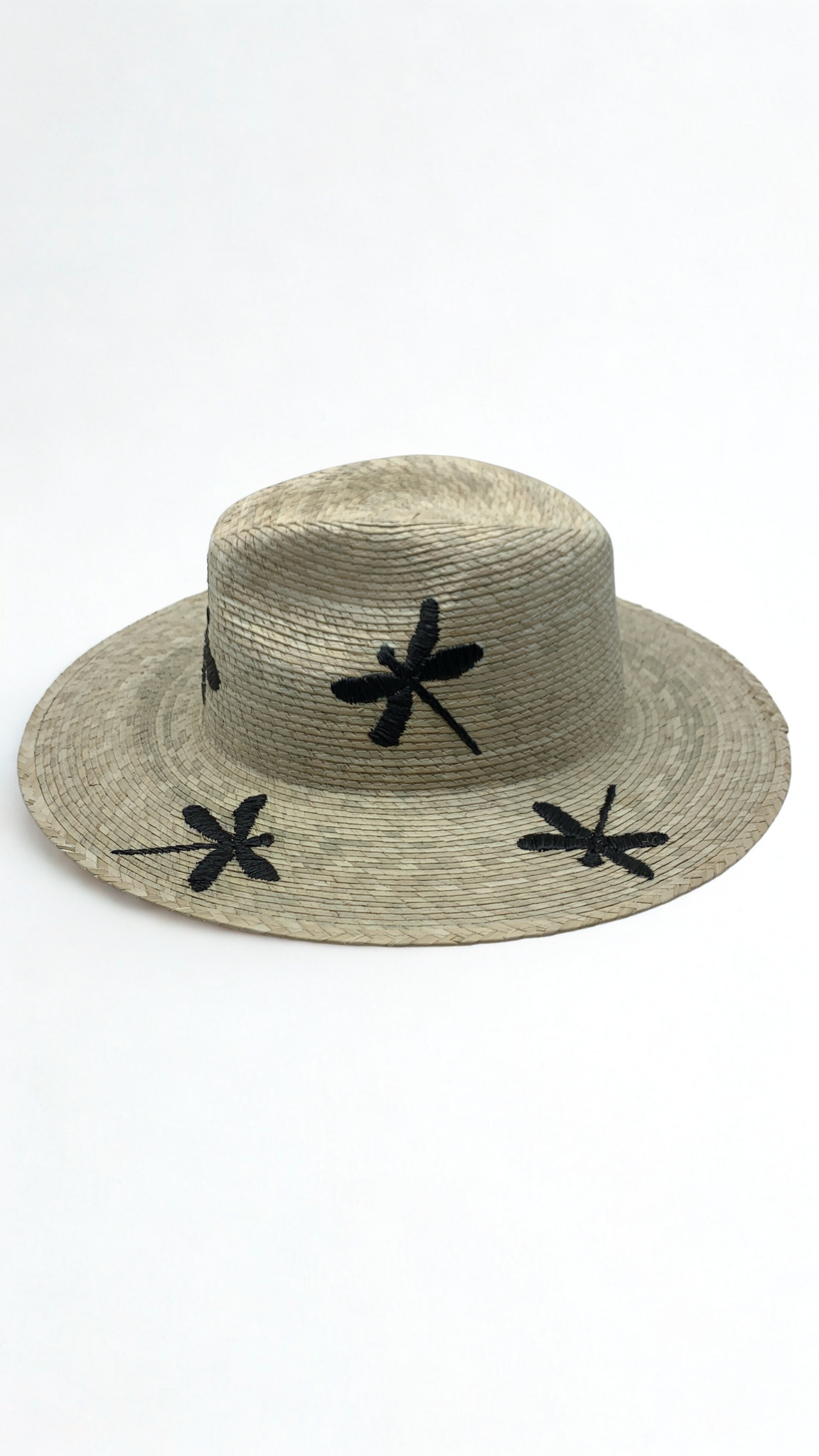 Dragonfly hat