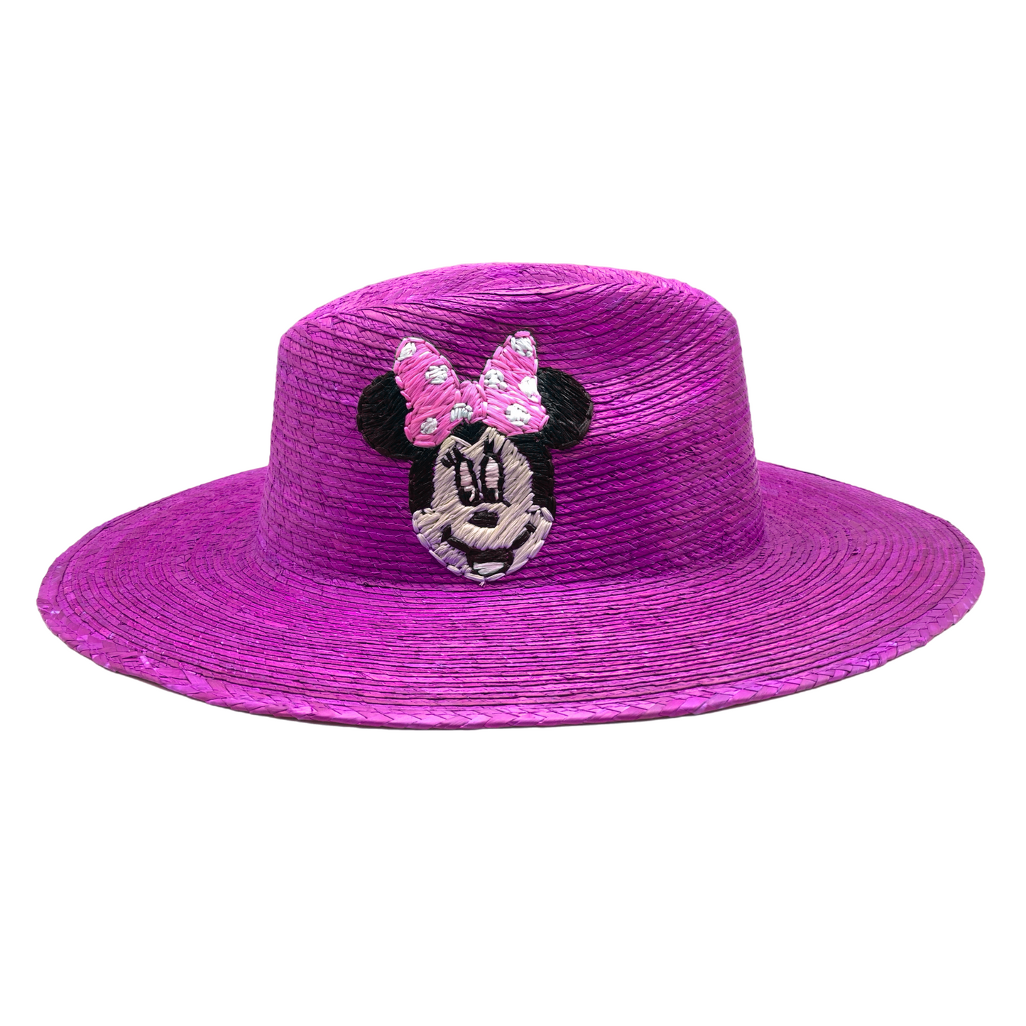 Disney hat