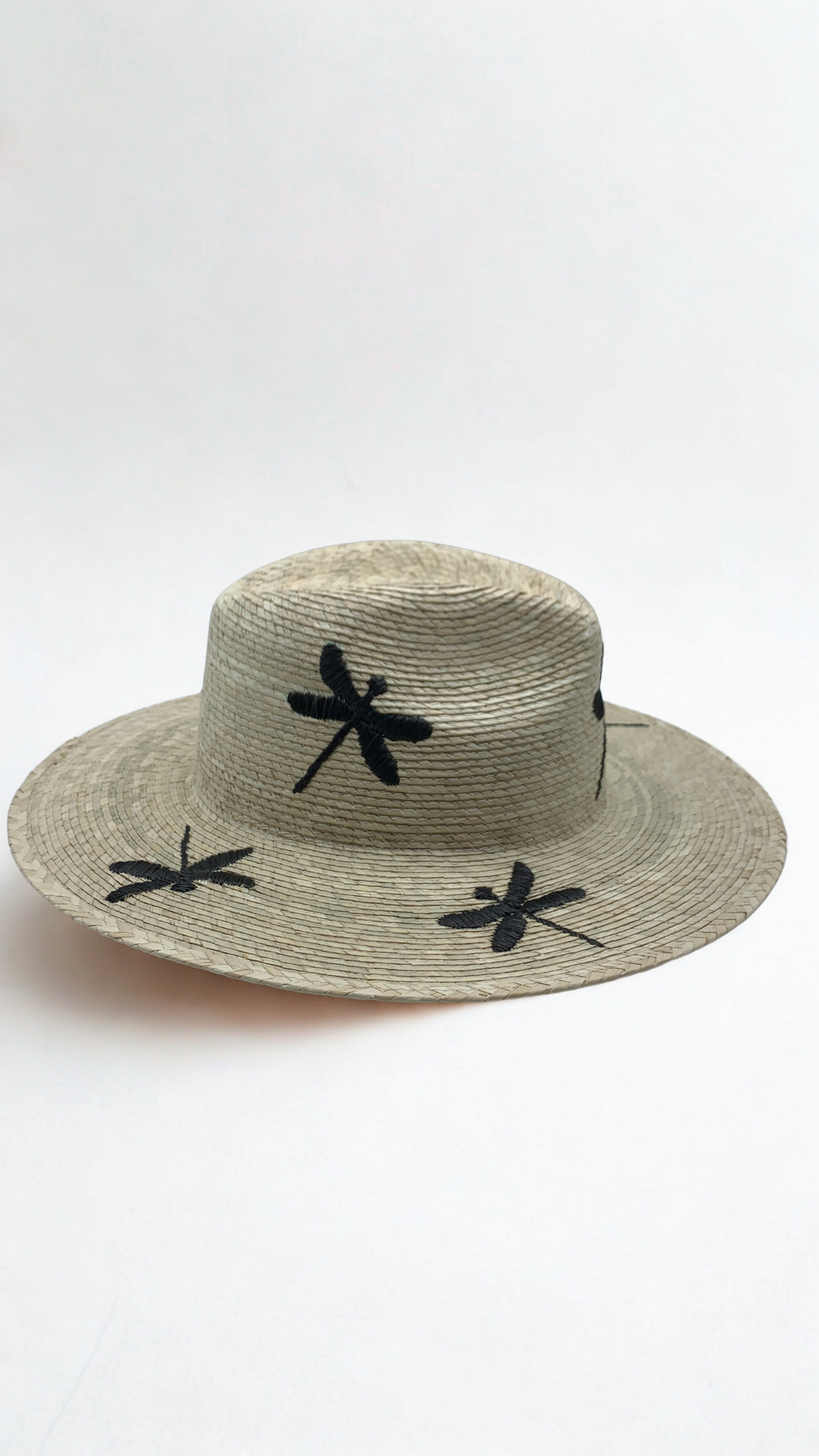 Dragonfly hat