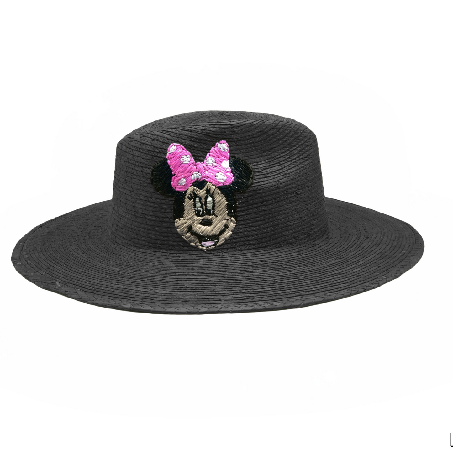Disney hat
