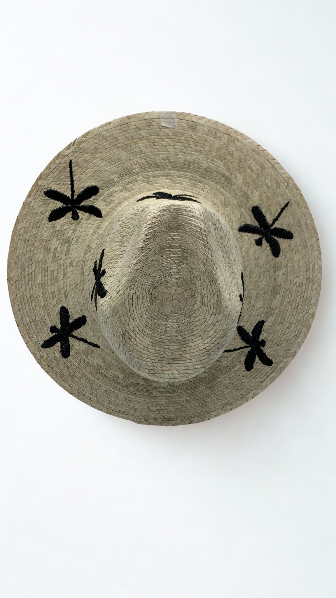 Dragonfly hat
